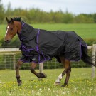 TROJAN Dual Lightweight Turnout Rug & Neck Set 