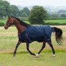 TROJAN 50 Turnout Rug