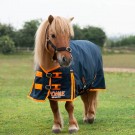Ponie100 Turnout Rug