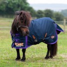 Ponie Lightweight Turnout Rug