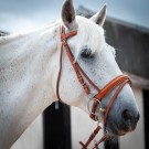 Tan Comfort Bridle, No Rubber Reins - Clearance