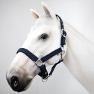 Gallop Padded Premium Headcollar