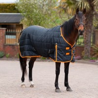TROJAN 100 Stable Rug